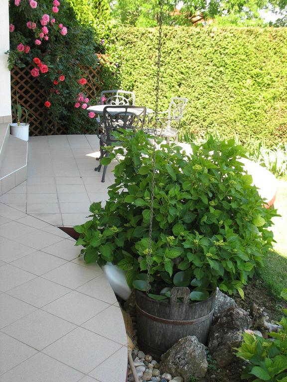 Doina Apartman Залакарош Номер фото